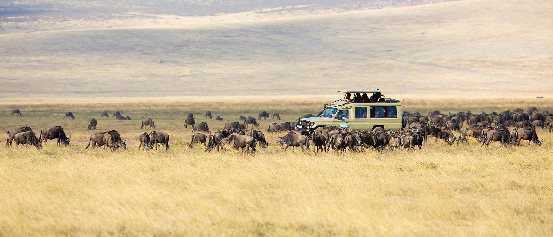 4 Days Tanzania safari