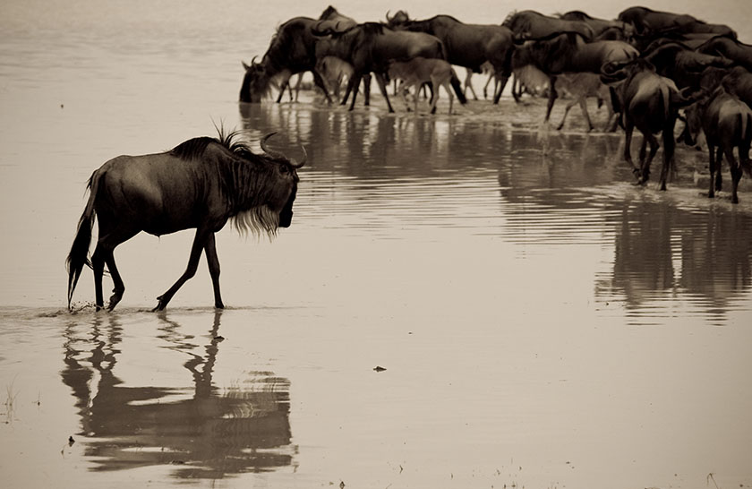 Serengeti National Park
