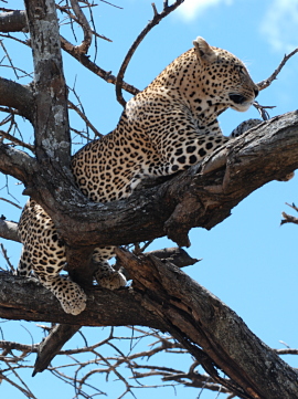 Serengeti National Park