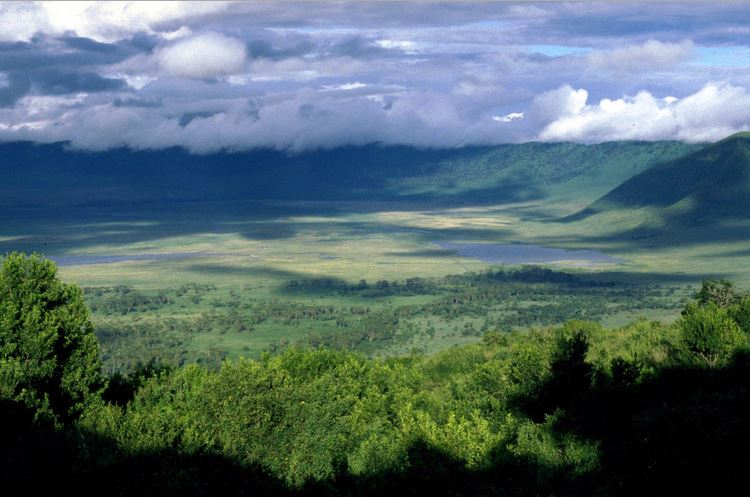 Ngorongoro Conservation Area