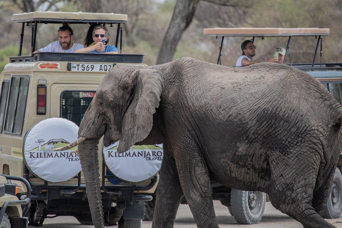 Tarangire National Park