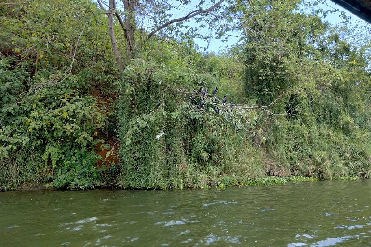 Source of the Nile Hotel