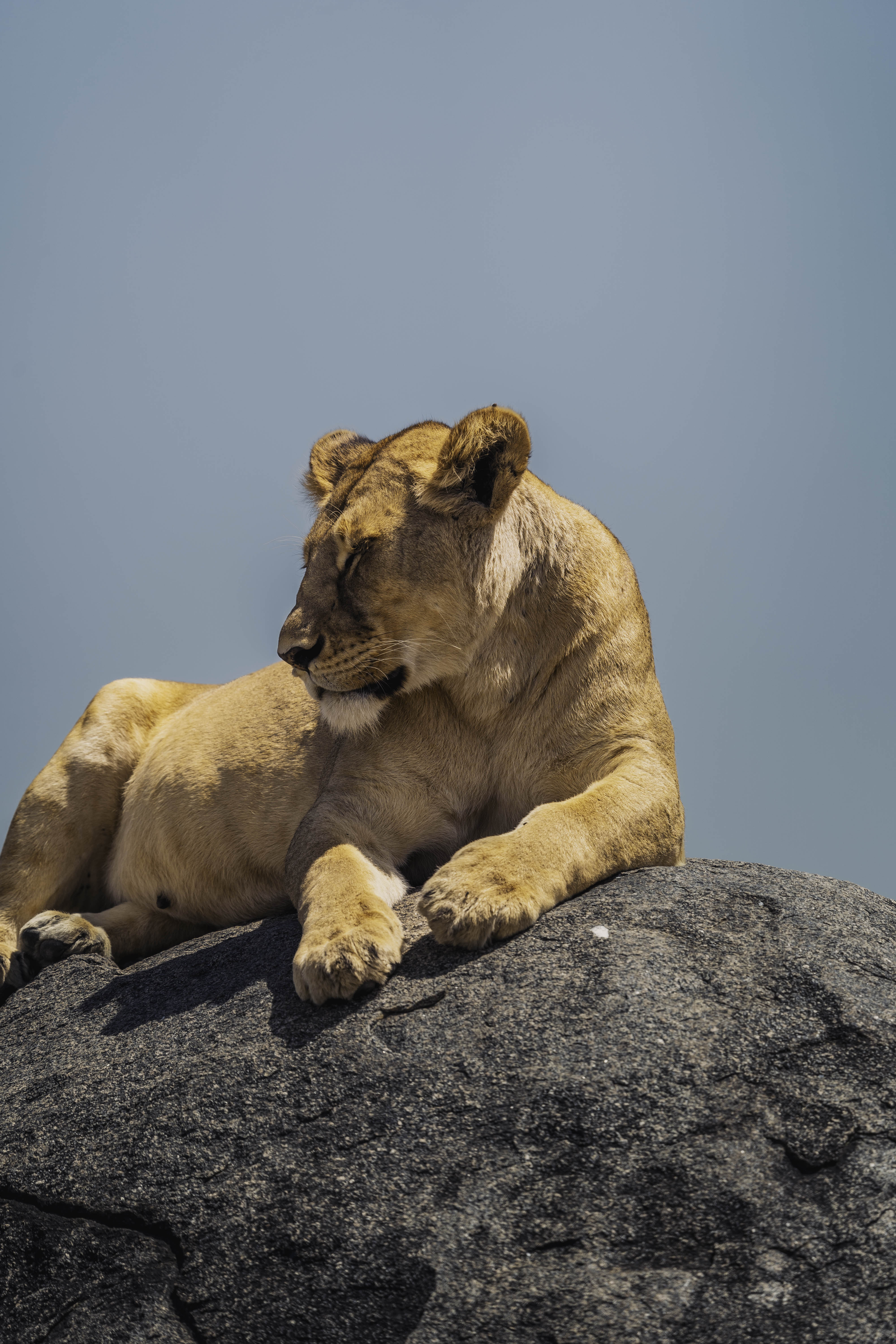 Serengeti National Park