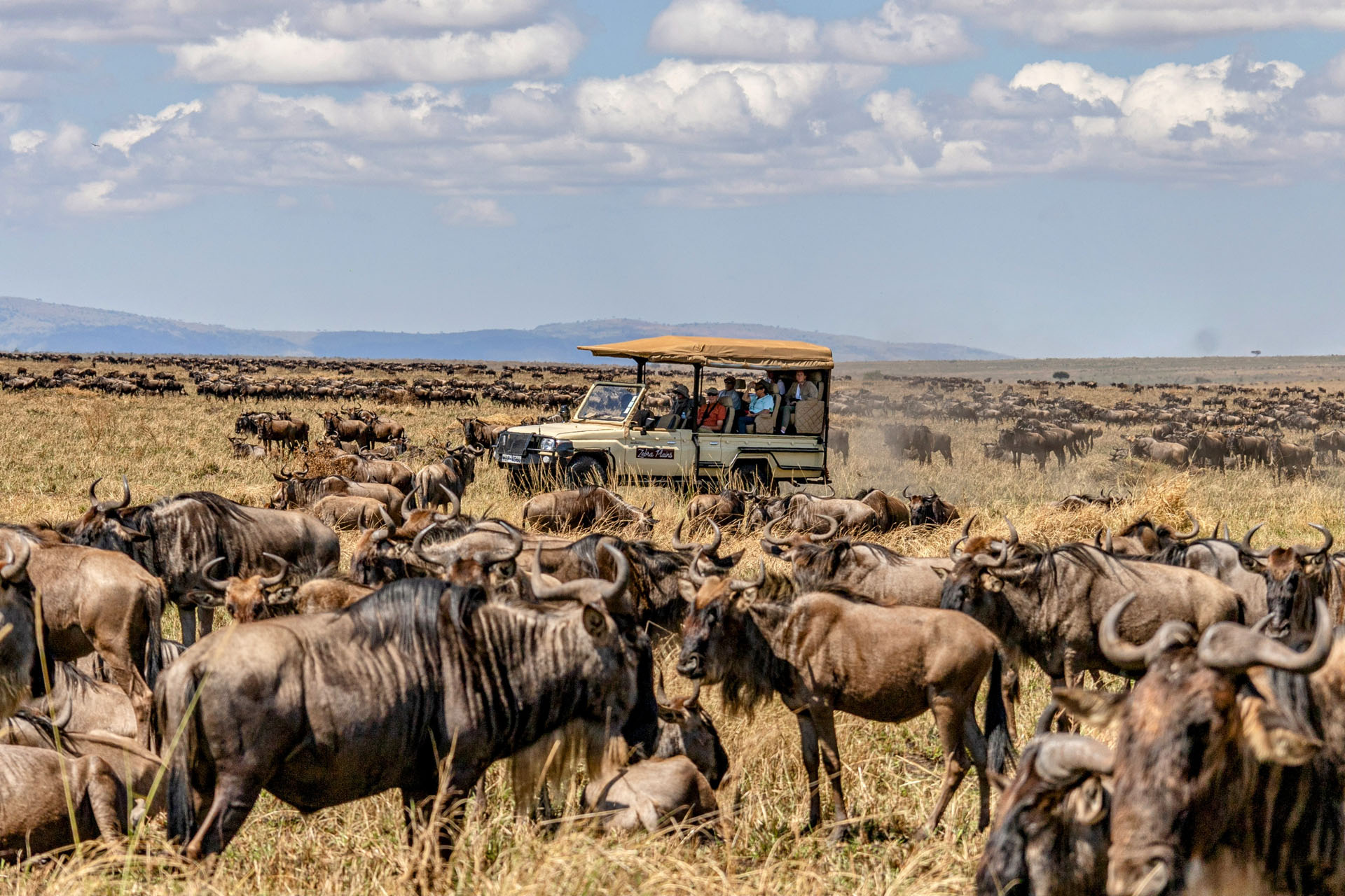 Masai Mara National Reserve