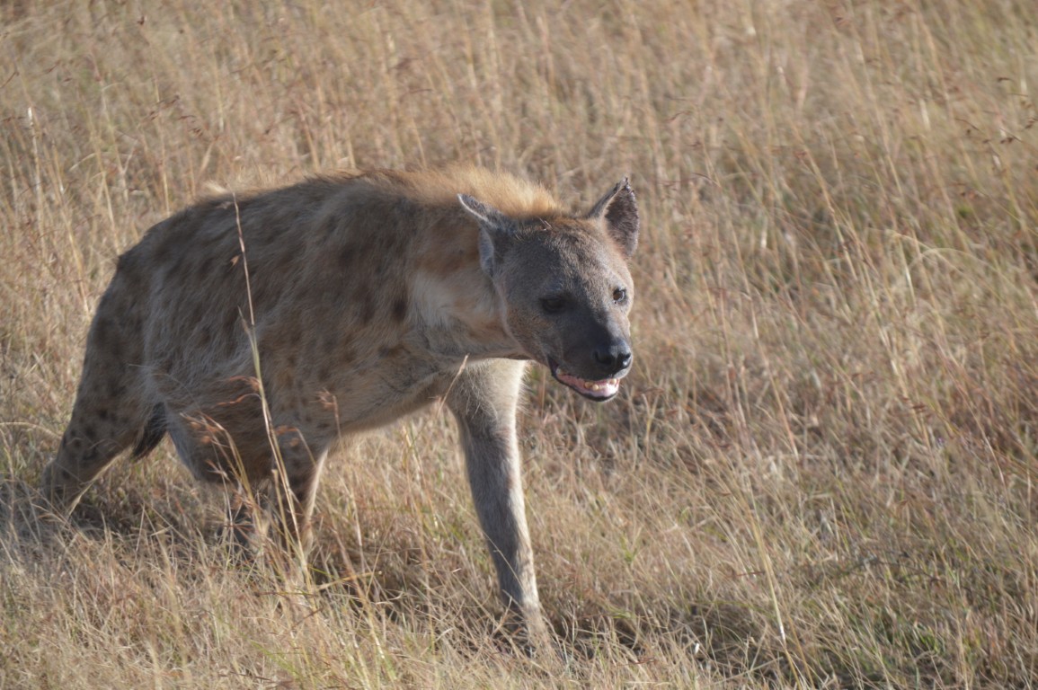 Nairobi