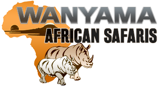 WANYAMA AFRICAN SAFARI COMPANY LIMITED