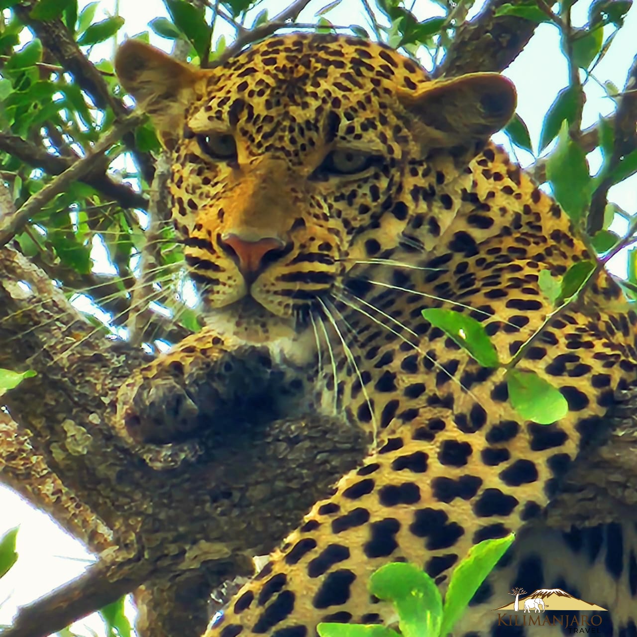 Serengeti National Park