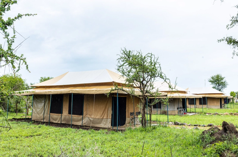 serengeti wild camp