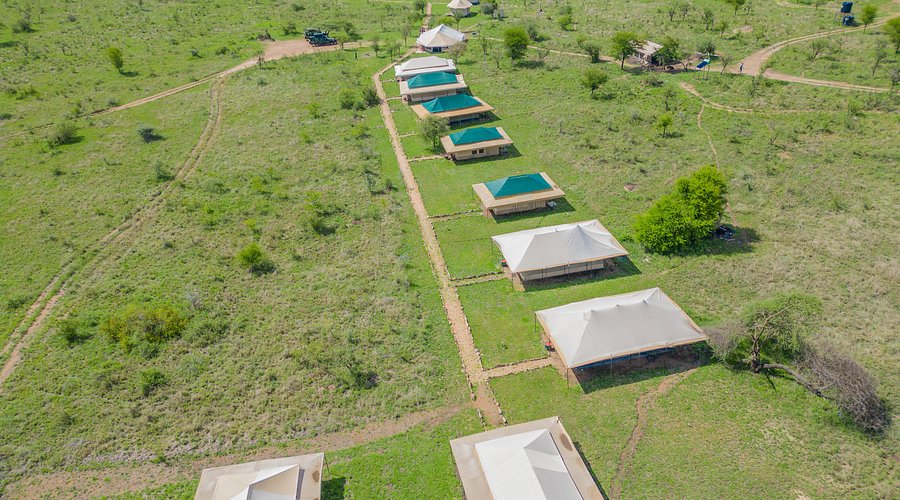 Serengeti wild camp