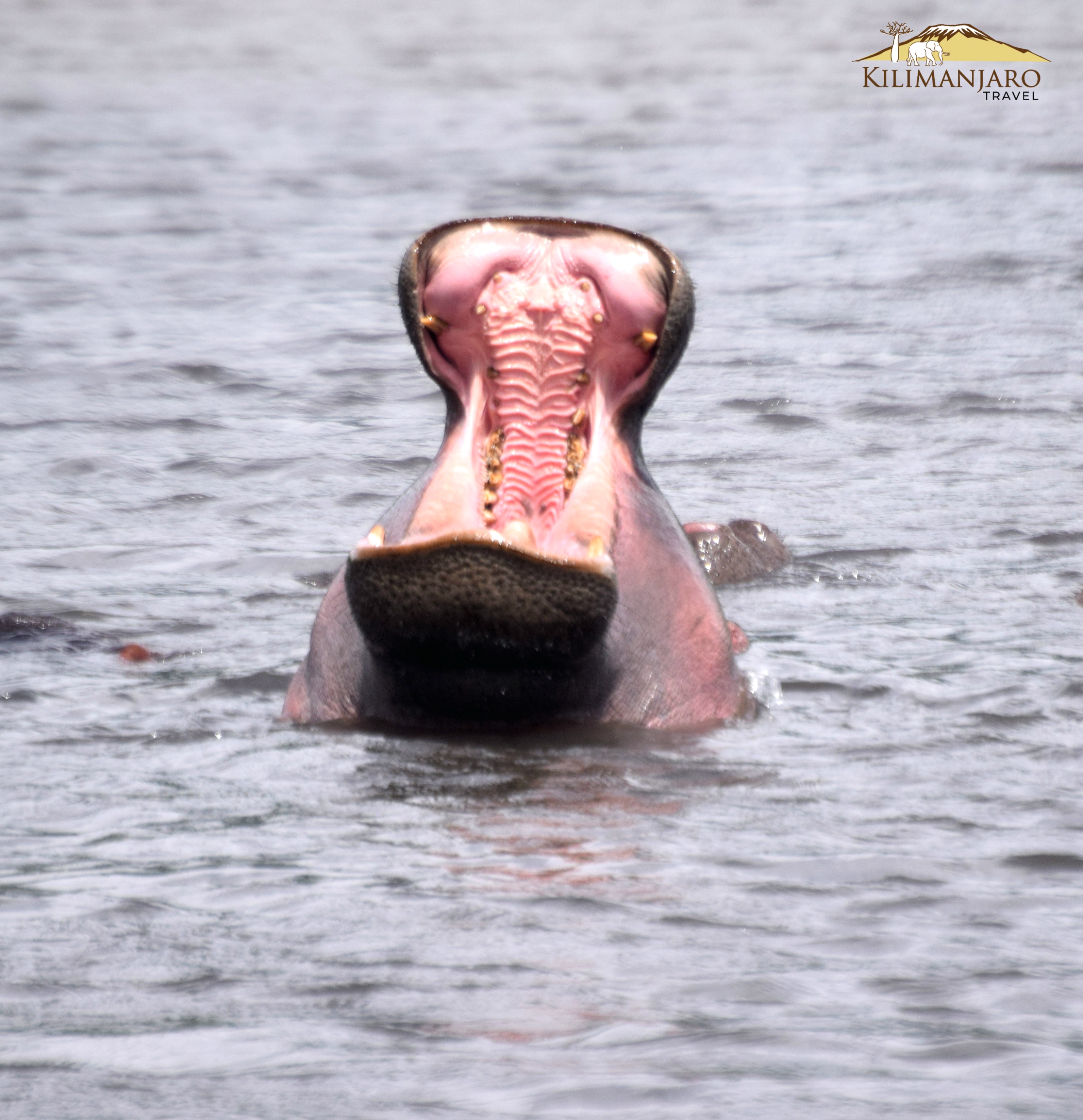 Ngorongoro Conservation Area