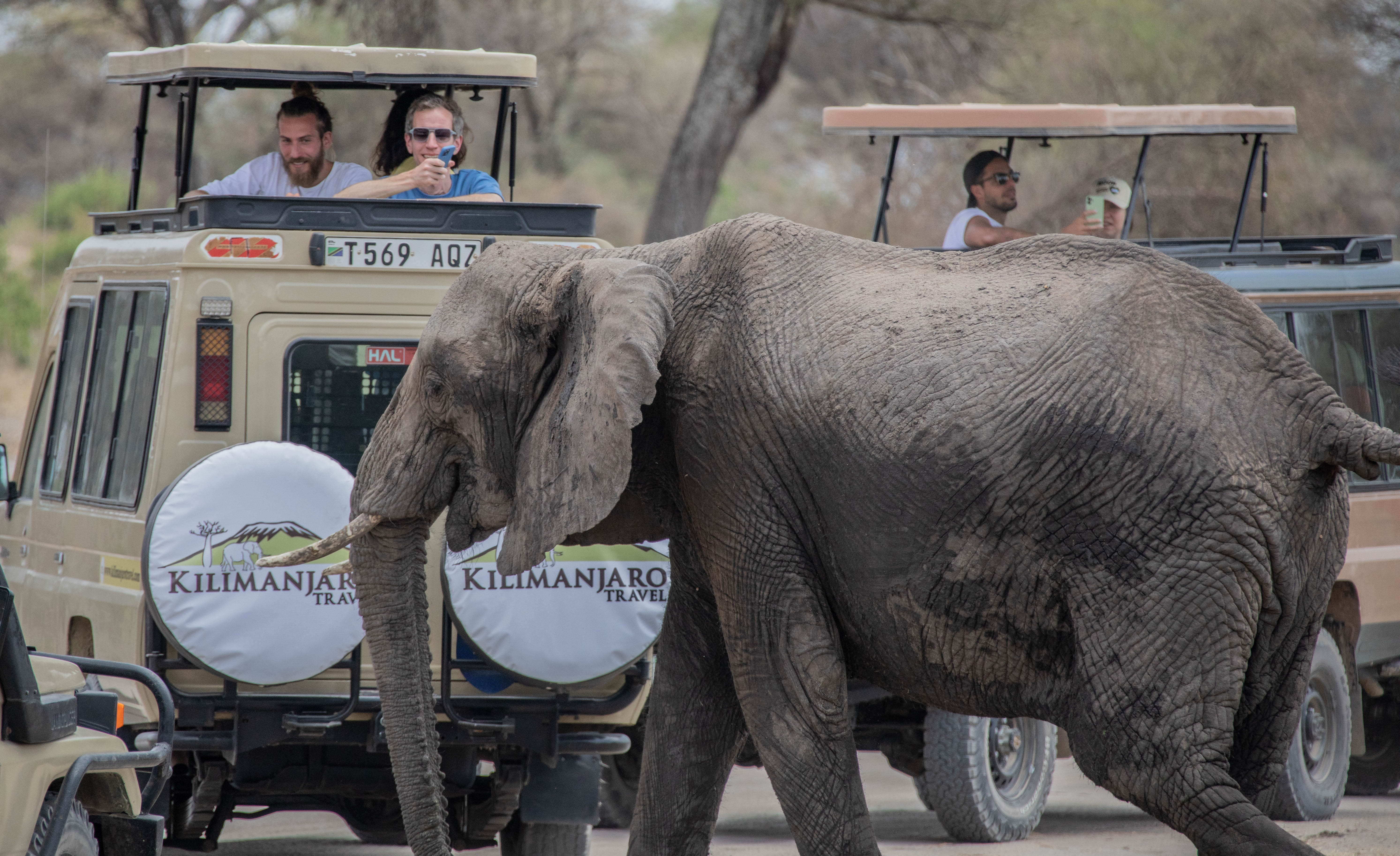 Tarangire National Park