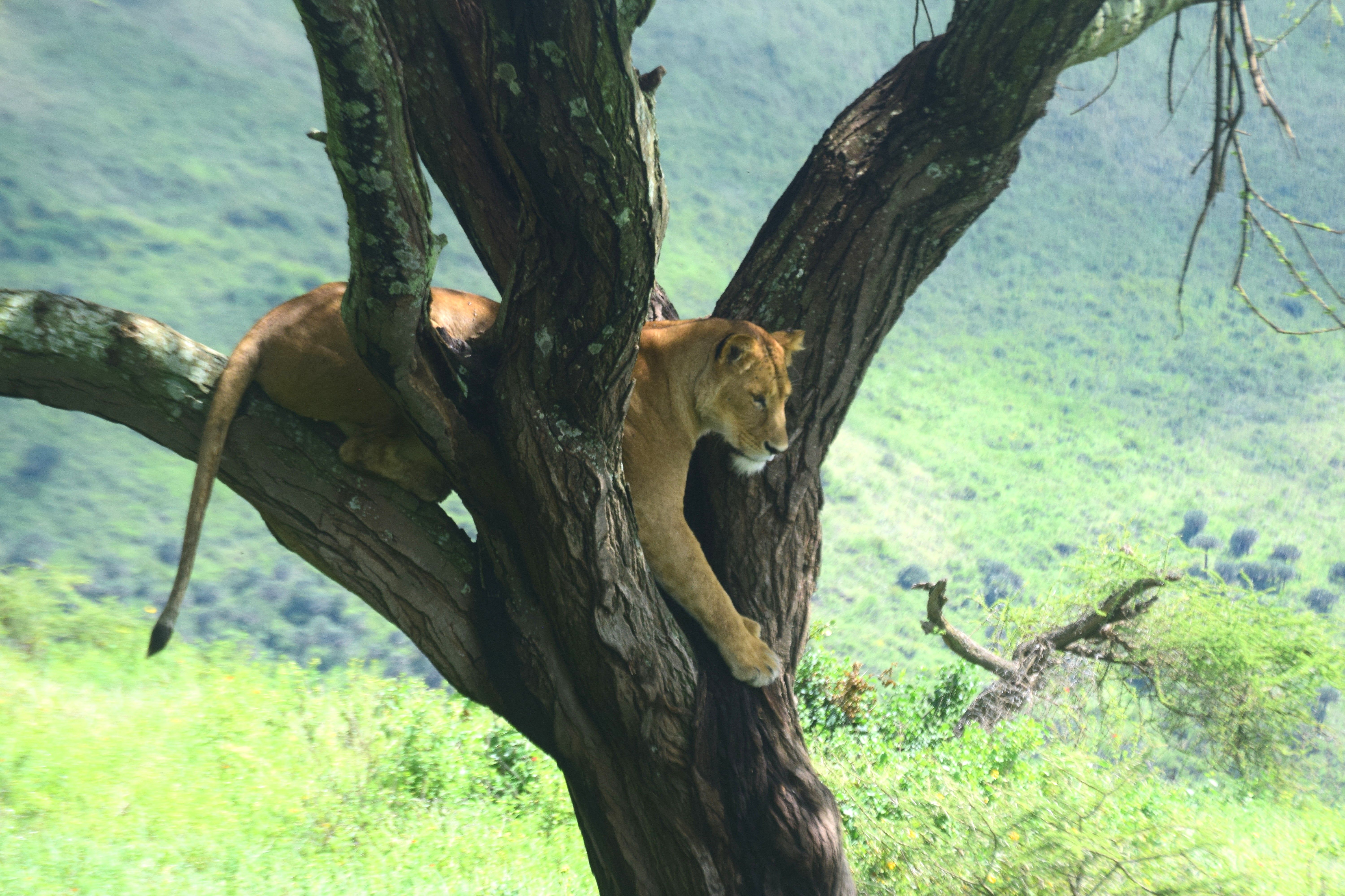 Serengeti National Park