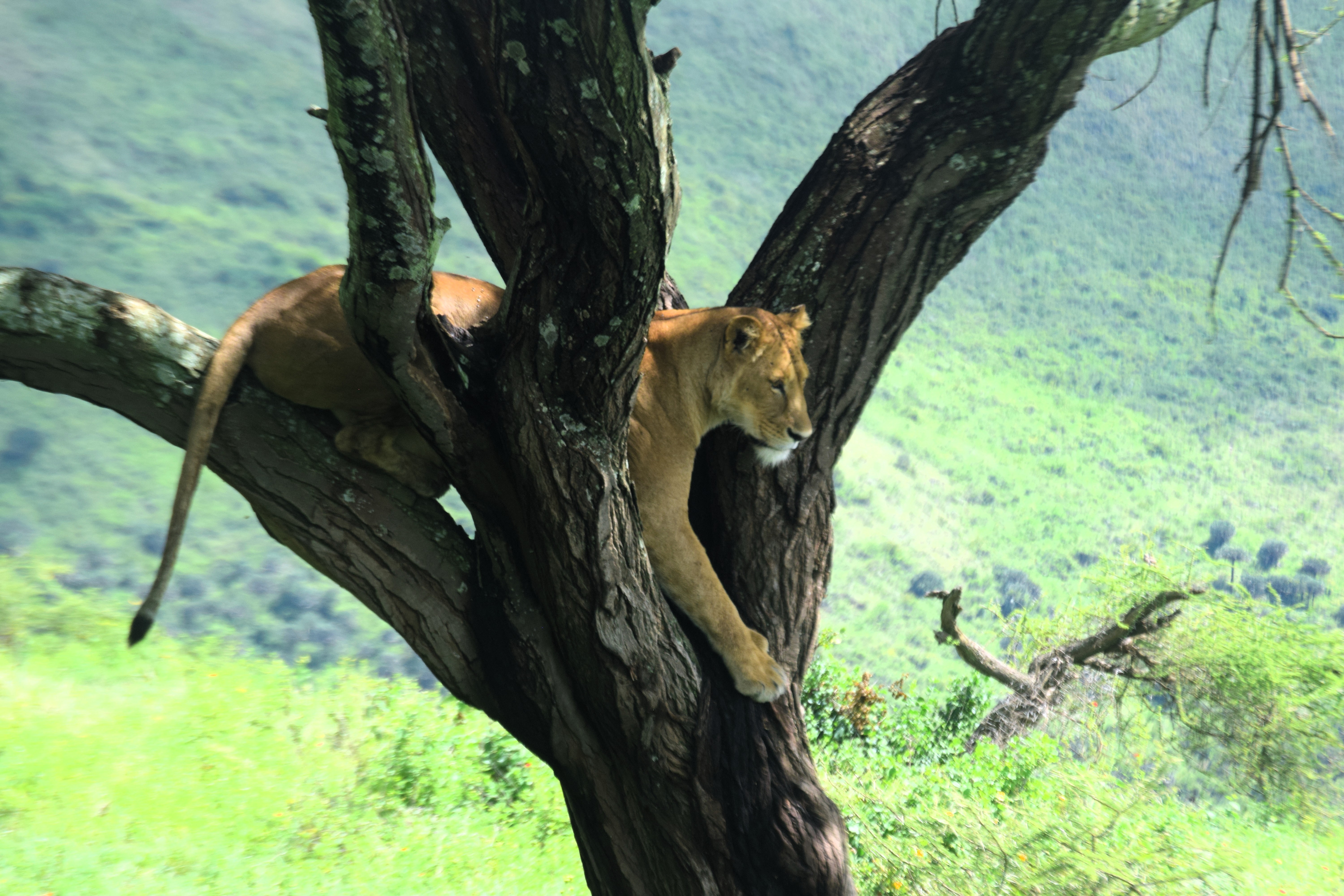 Lake Manyara National Park