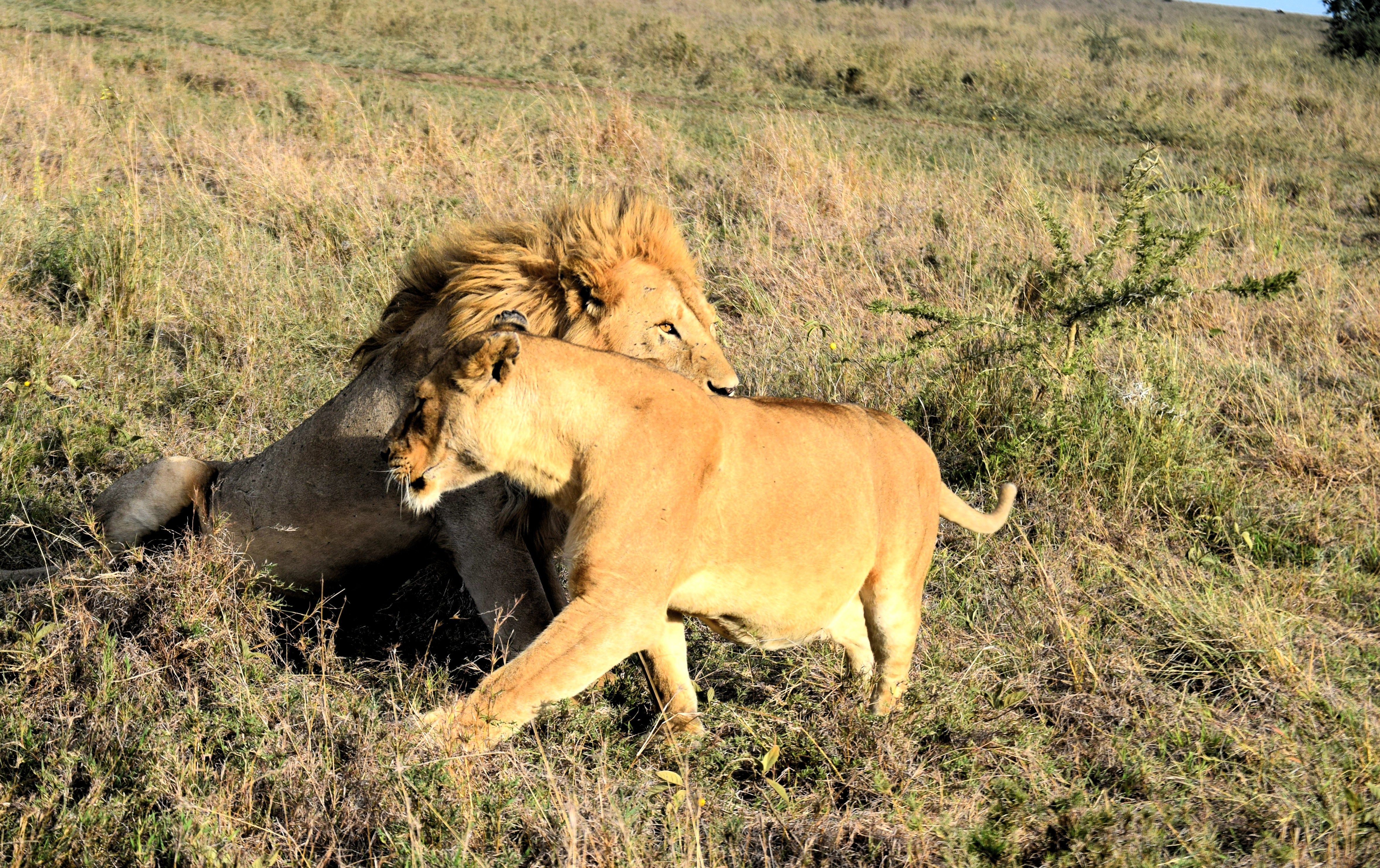 Serengeti National Park