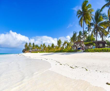 Zanzibar Island