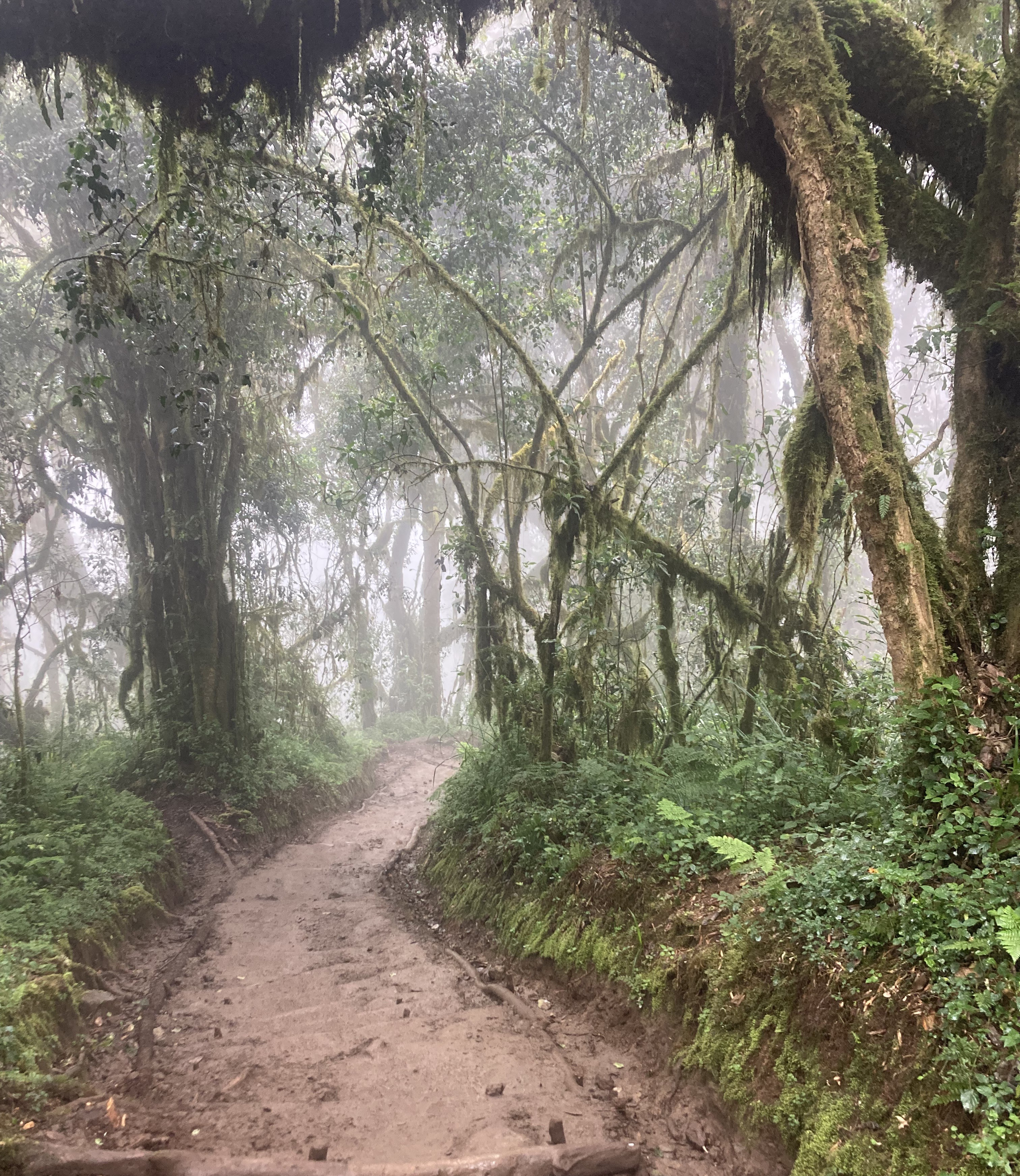 Kilimanjaro National Park