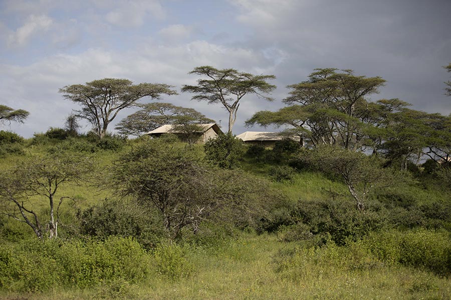 Nyikani Lodges & Camps - Ndutu