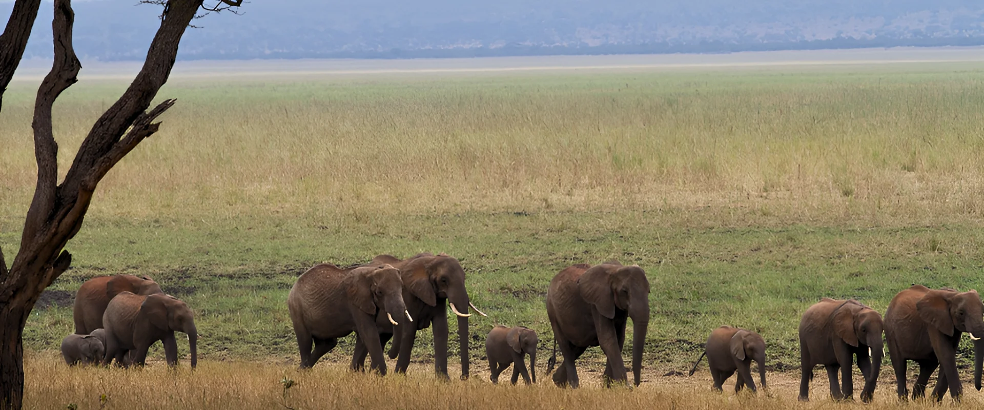 Tarangire National Park