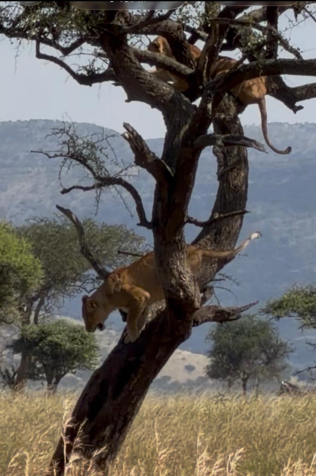 Serengeti National Park