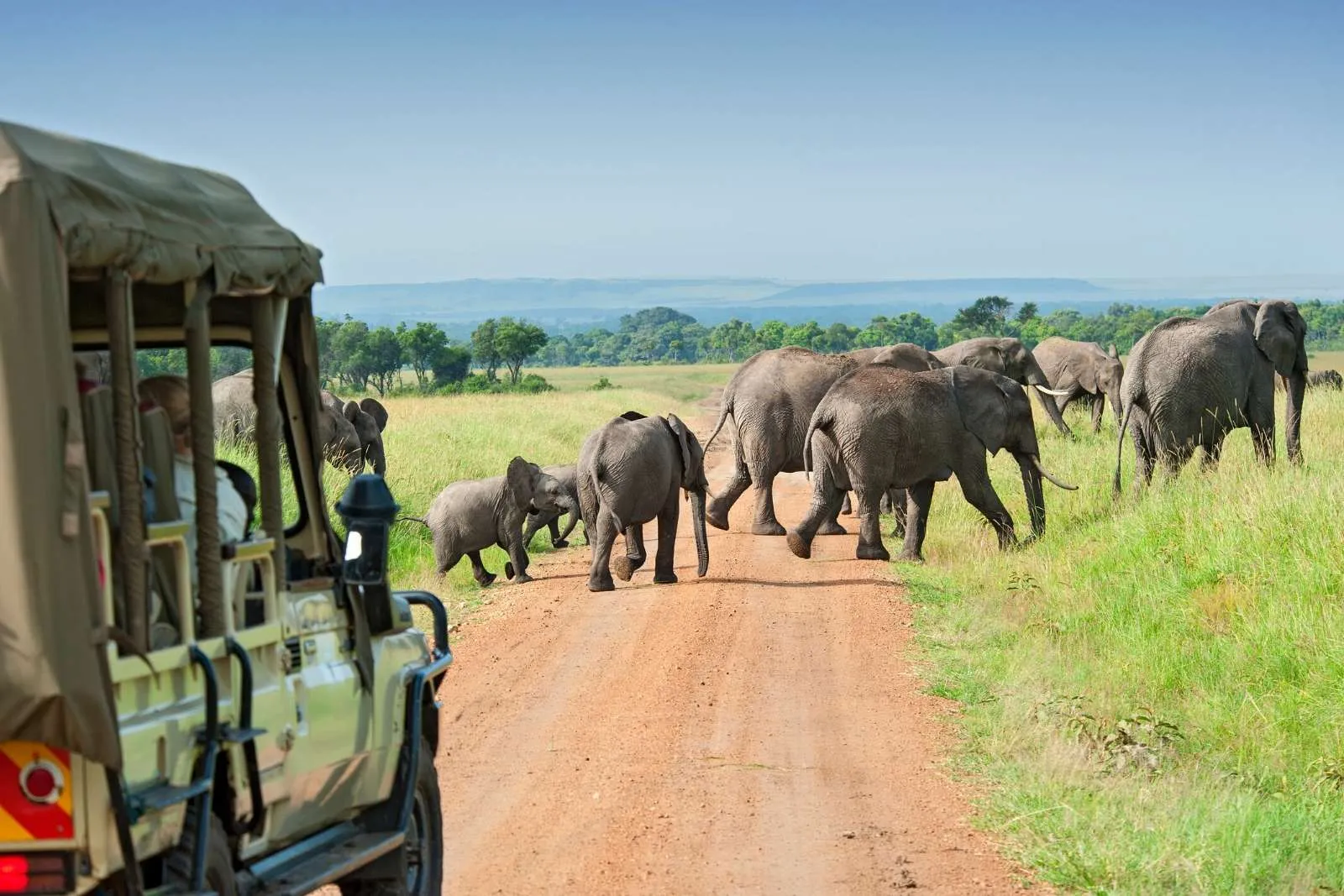 Tarangire National Park
