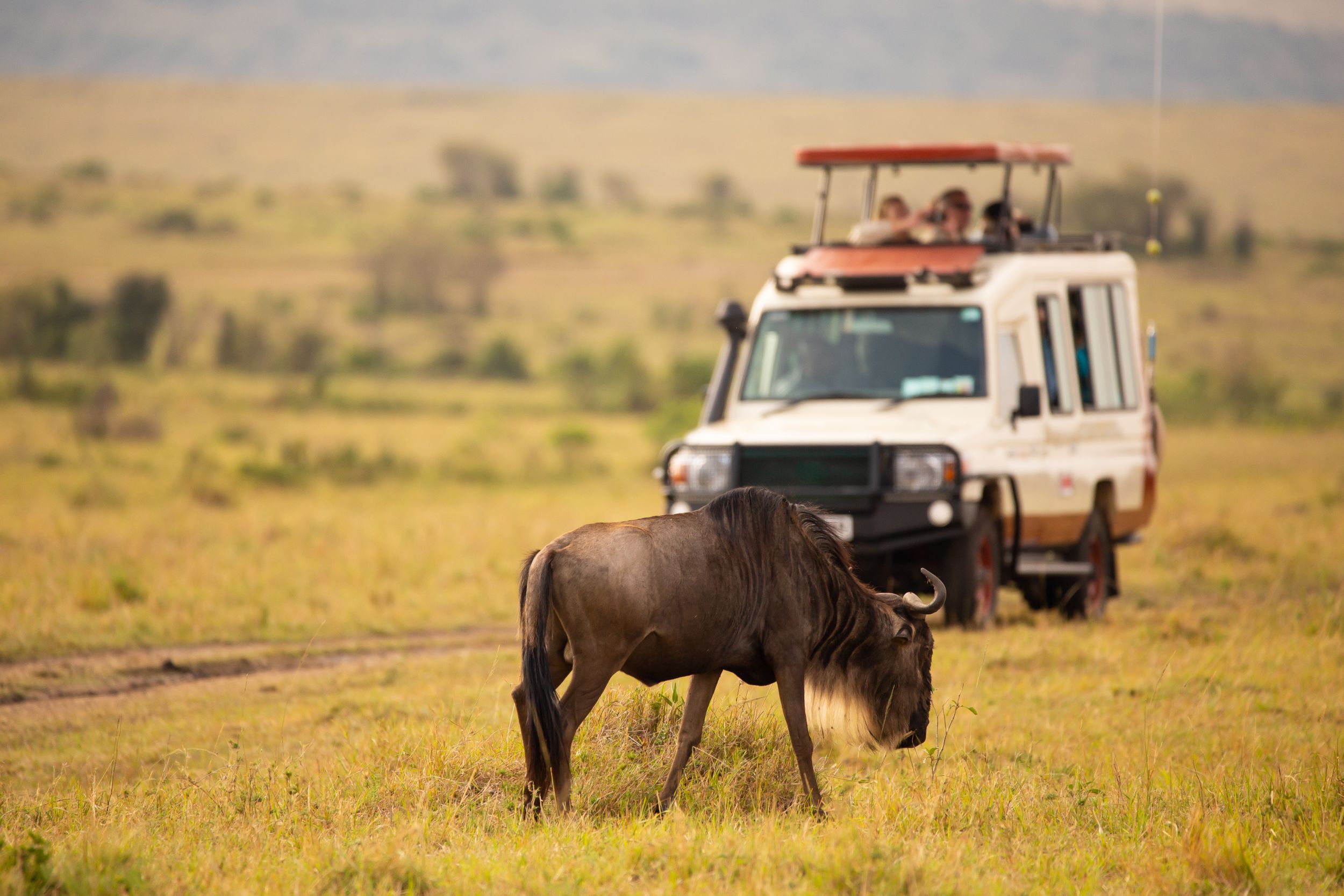 Serengeti National Park