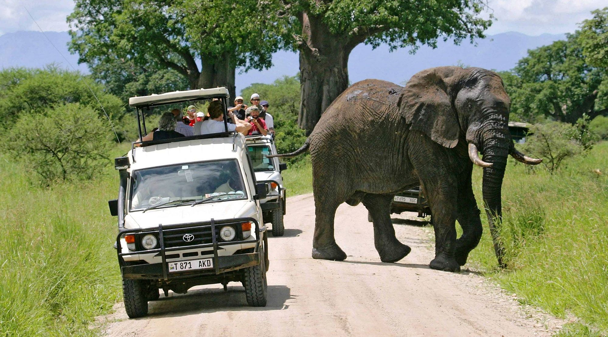 Tarangire National Park