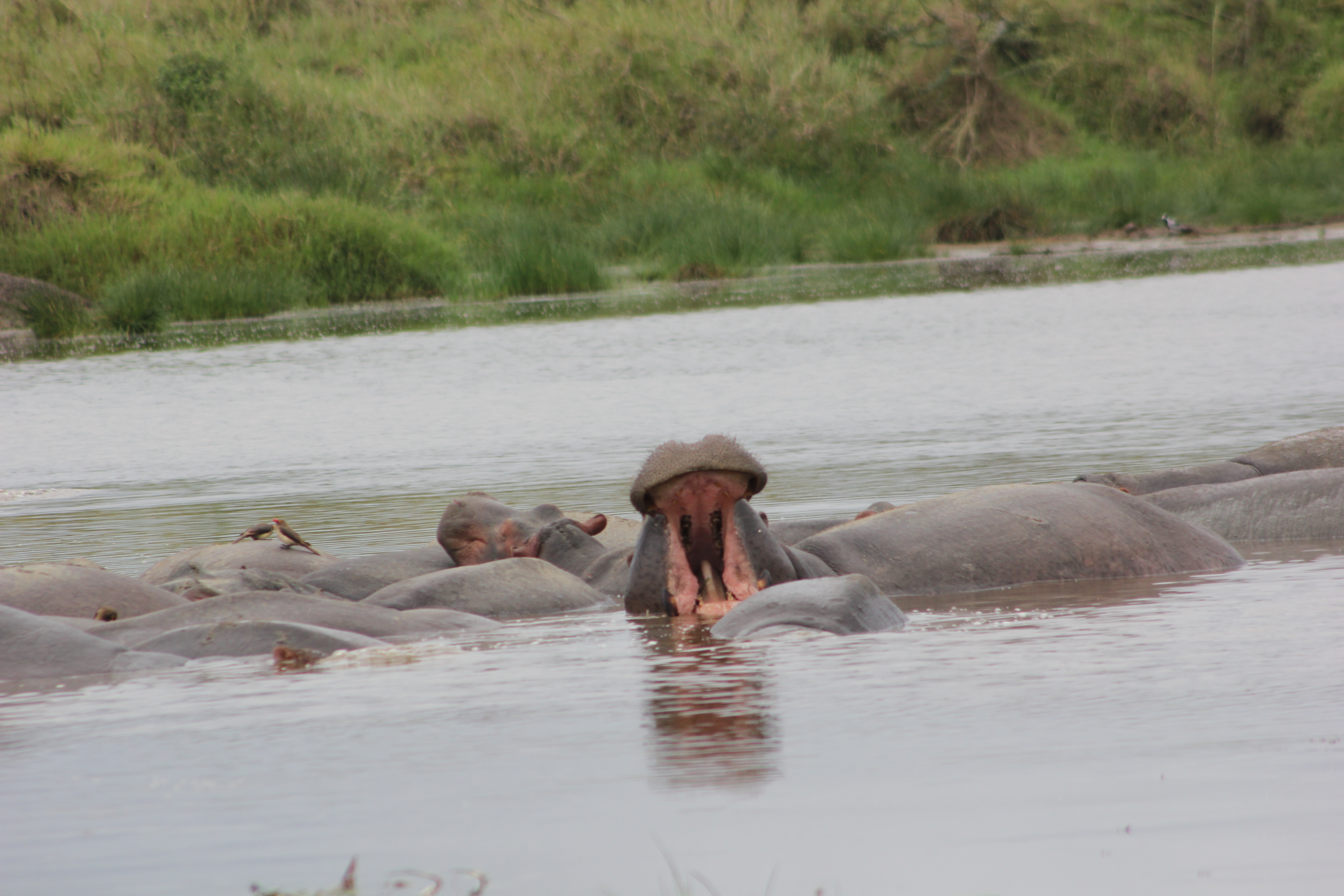Serengeti National Park