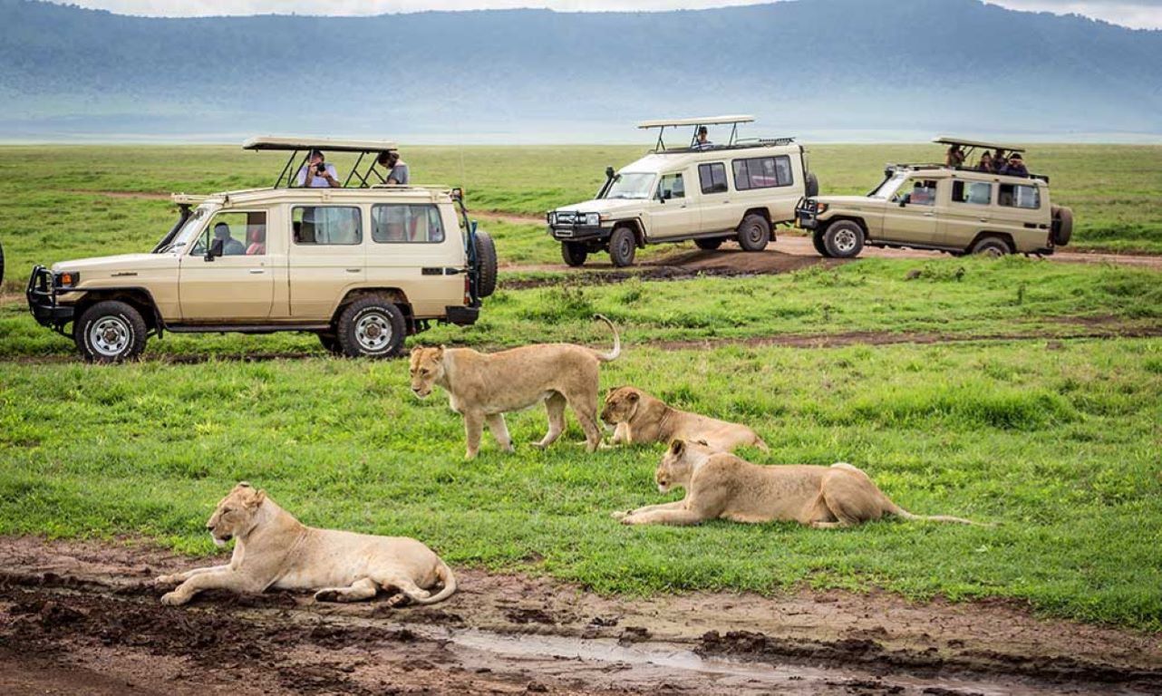 Tarangire National Park