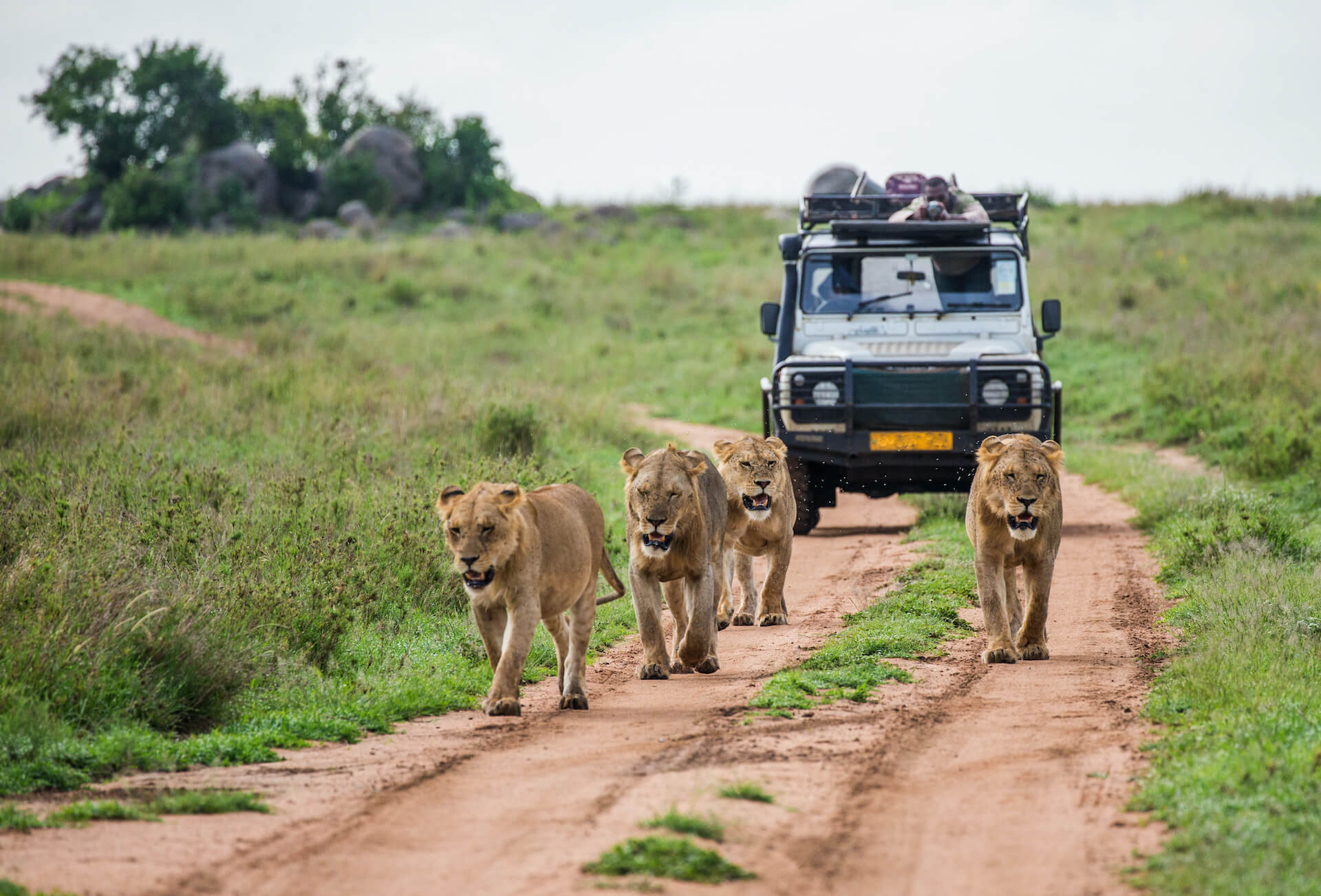 Ngorongoro Conservation Area