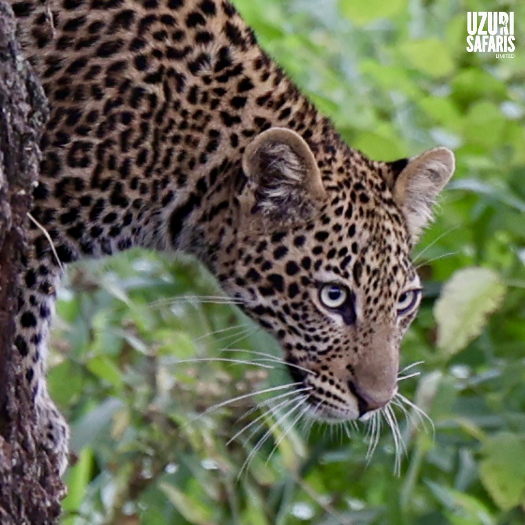 Serengeti National Park