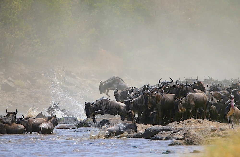 Northern Serengeti