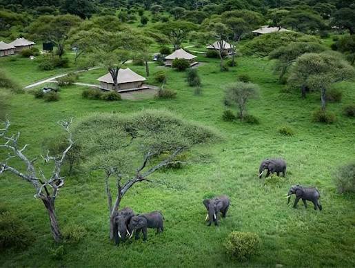 Tarangire National Park
