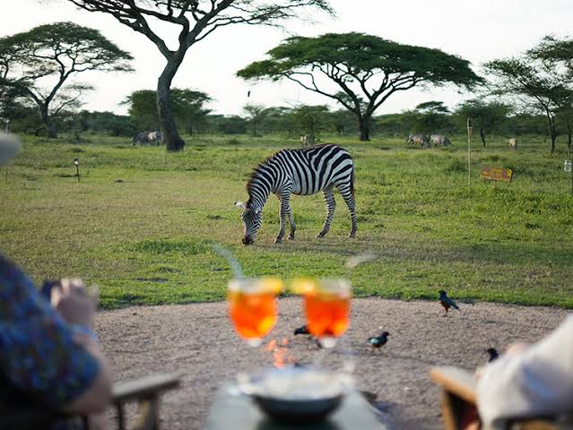 Ndutu safari lodge