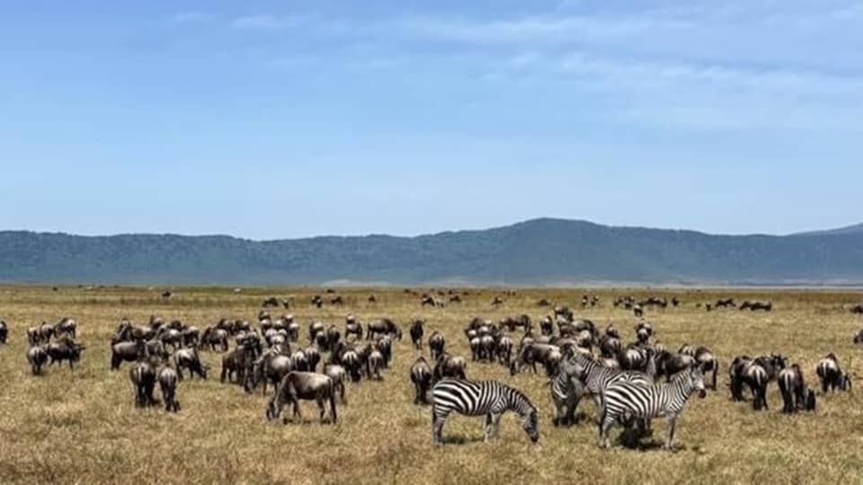 Serengeti National Park