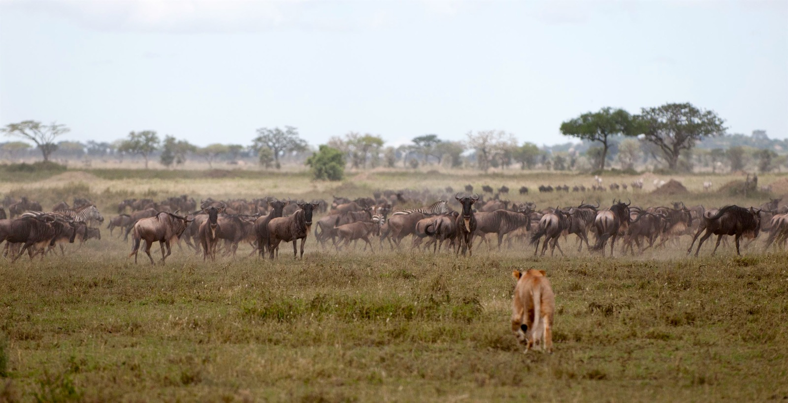 Lake Manyara National Park