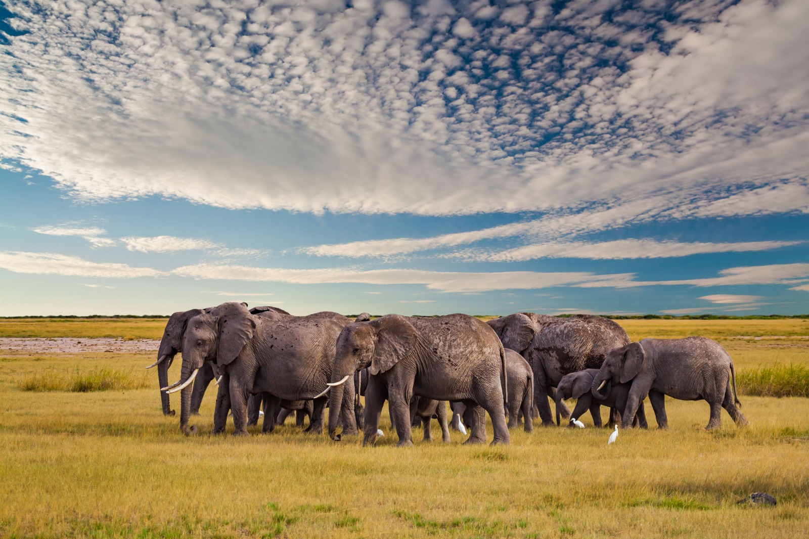 Tarangire National Park