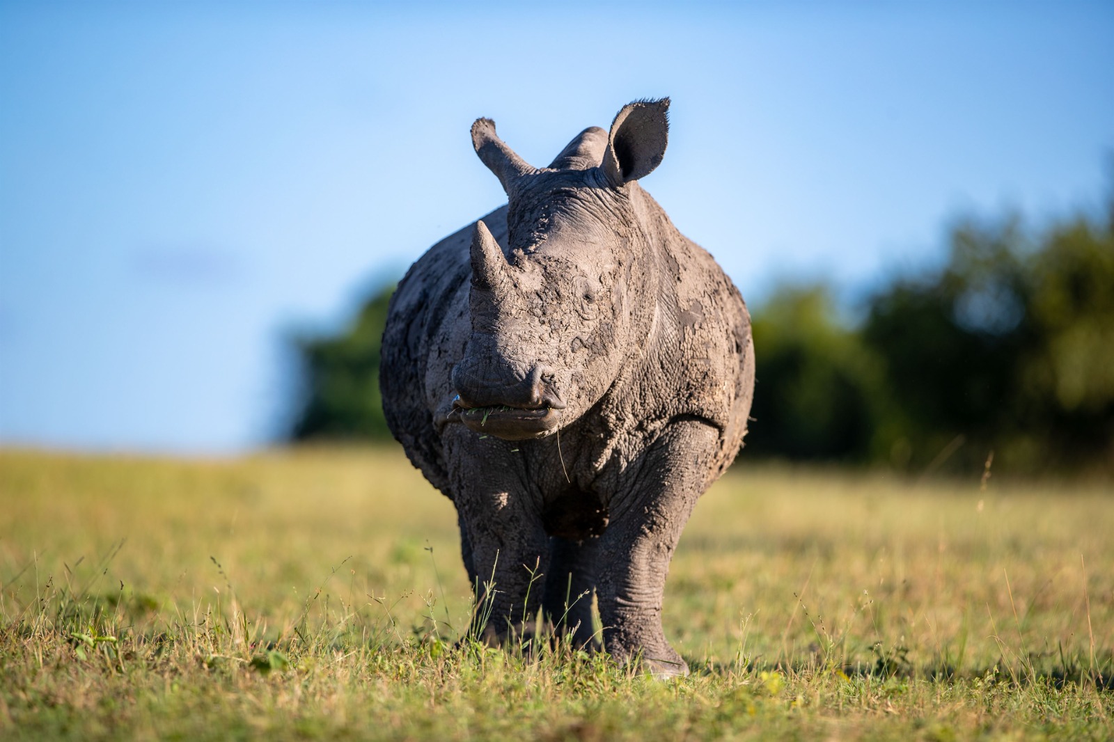 Ngorongoro Conservation Area