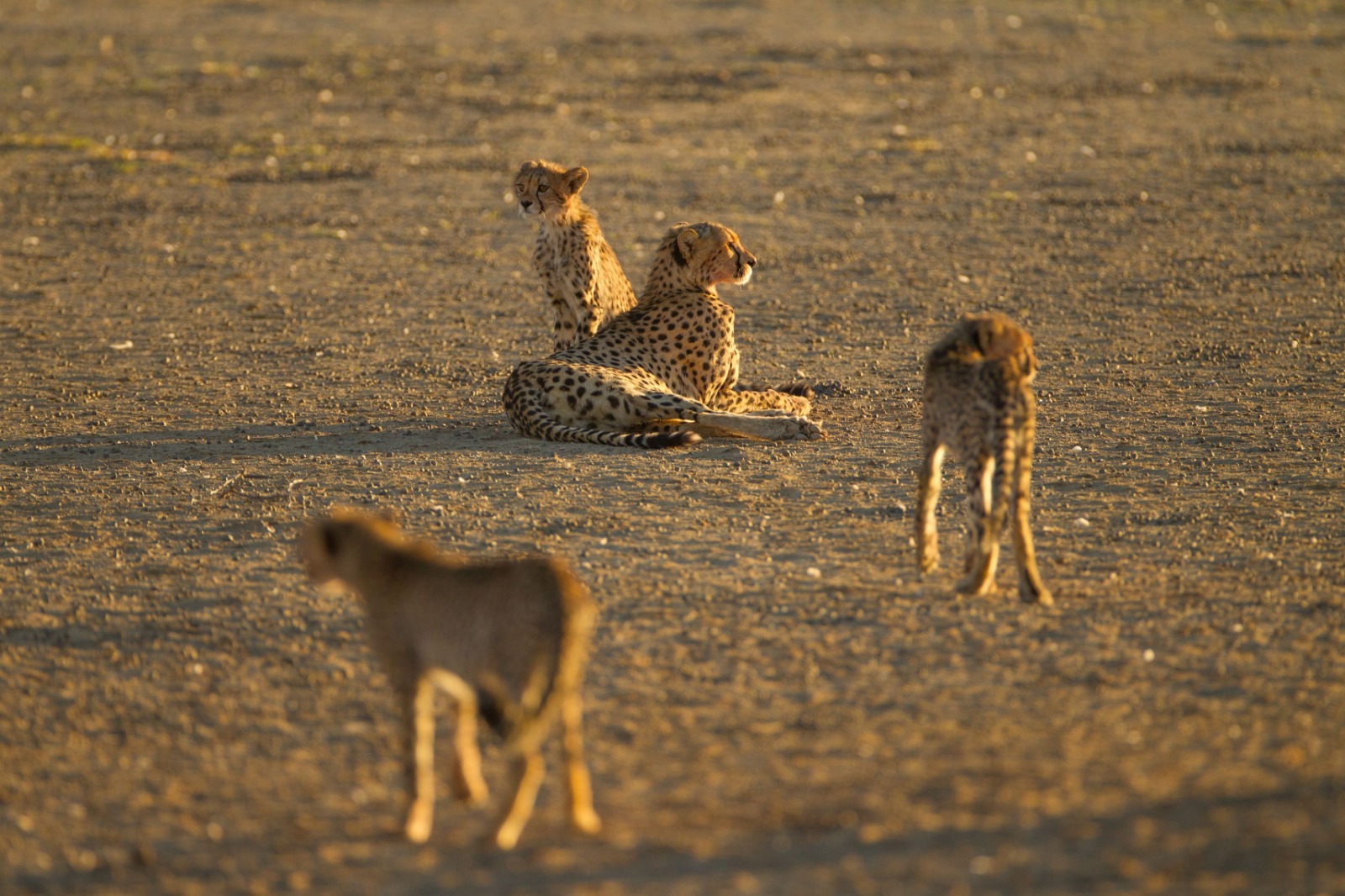 Serengeti National Park
