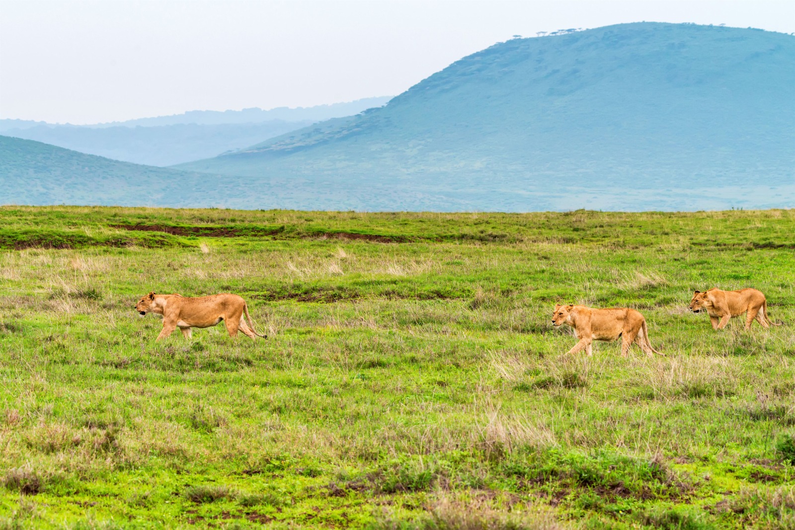 Serengeti National Park