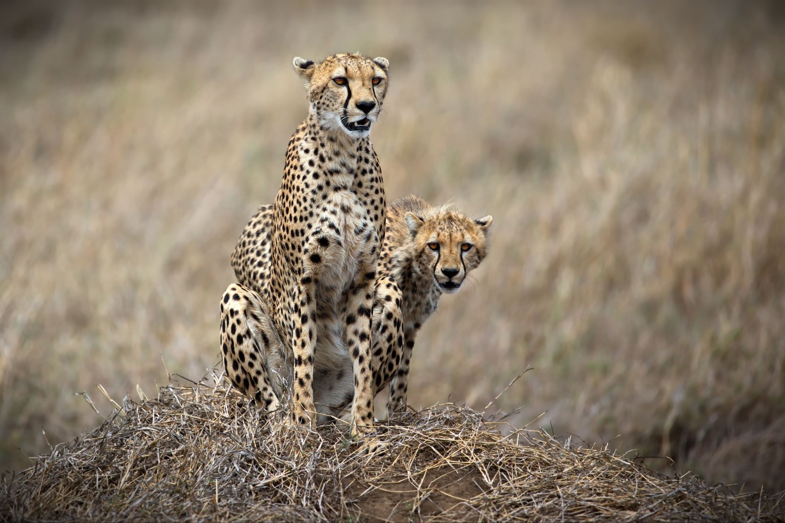 Serengeti National Park