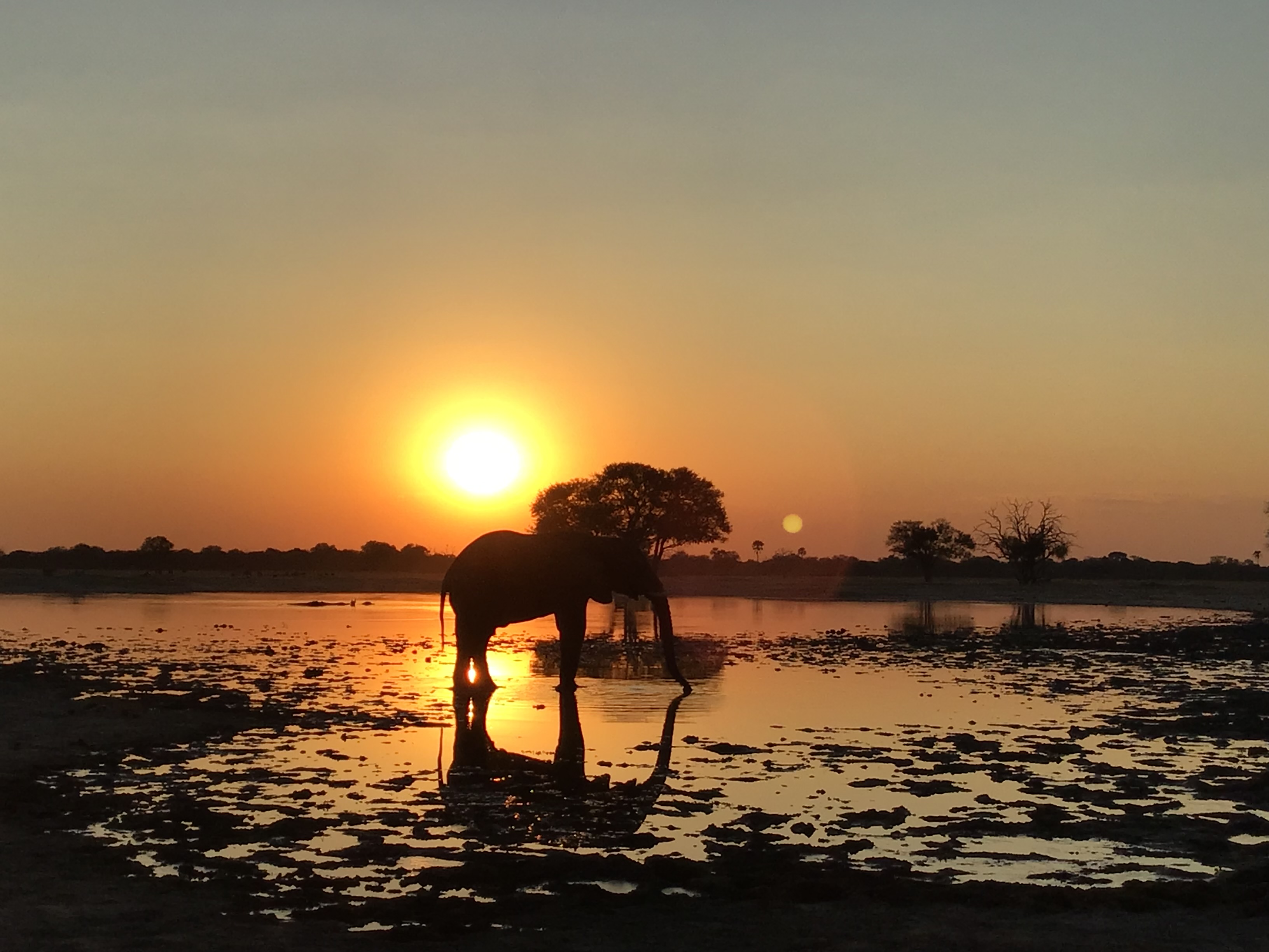 Hwange National Park