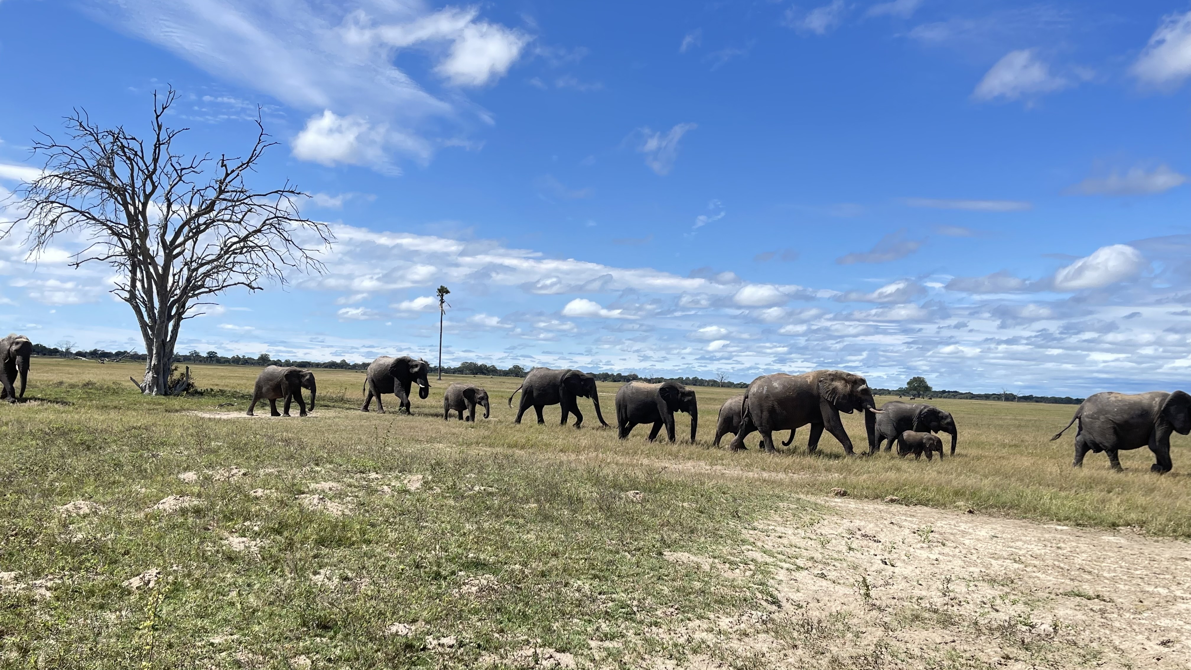 Victoria Falls National Park