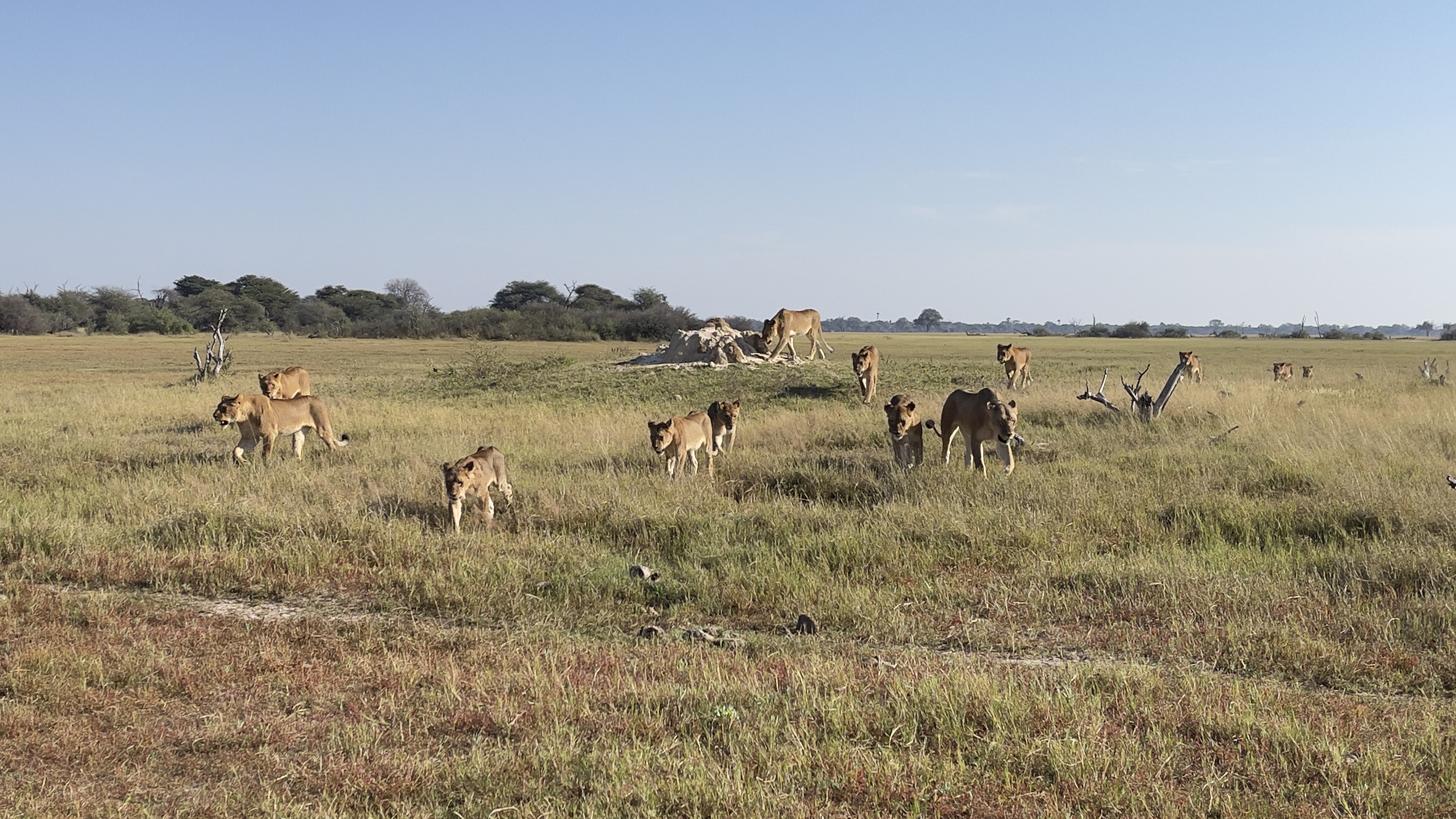 Hwange National Park