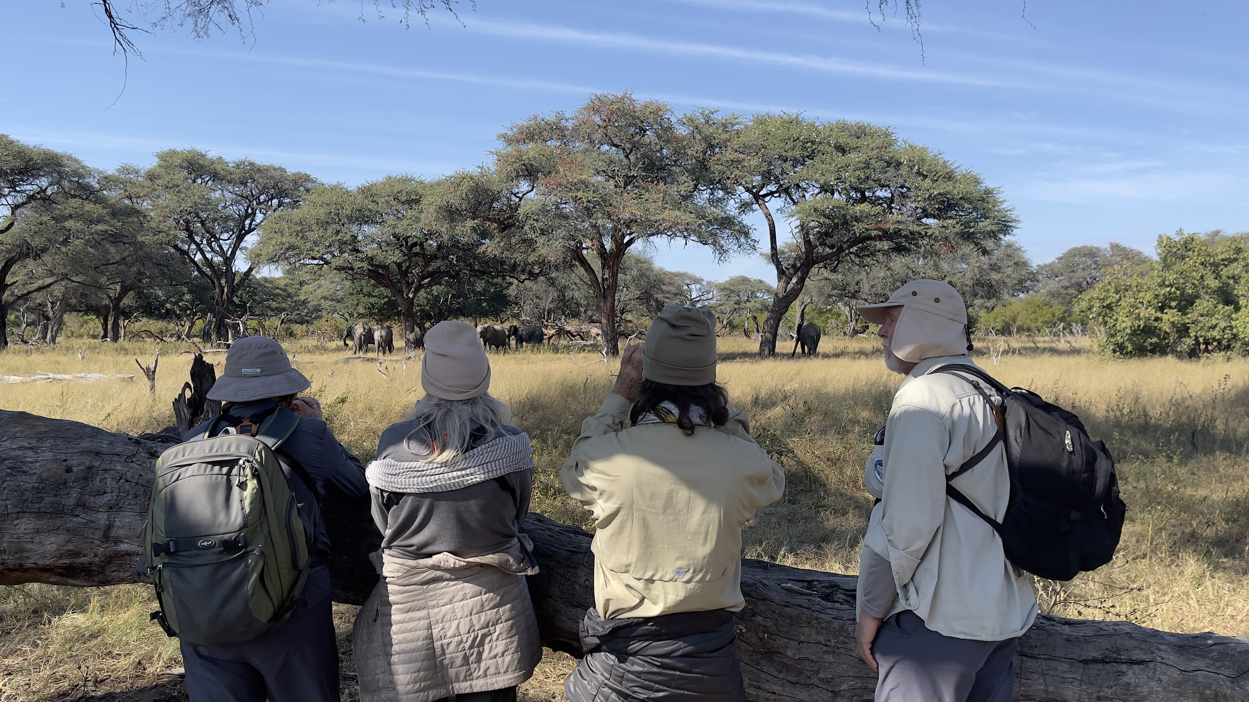 Hwange National Park
