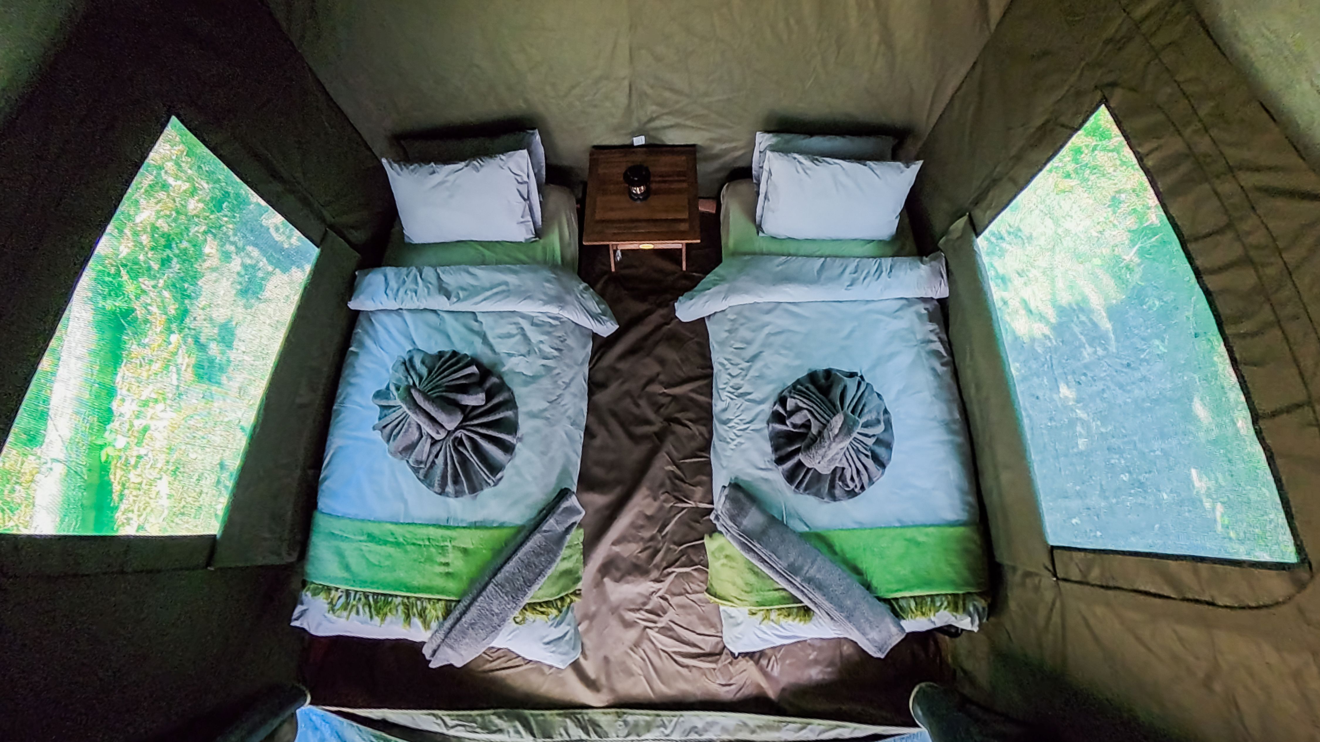 Camp Hippo