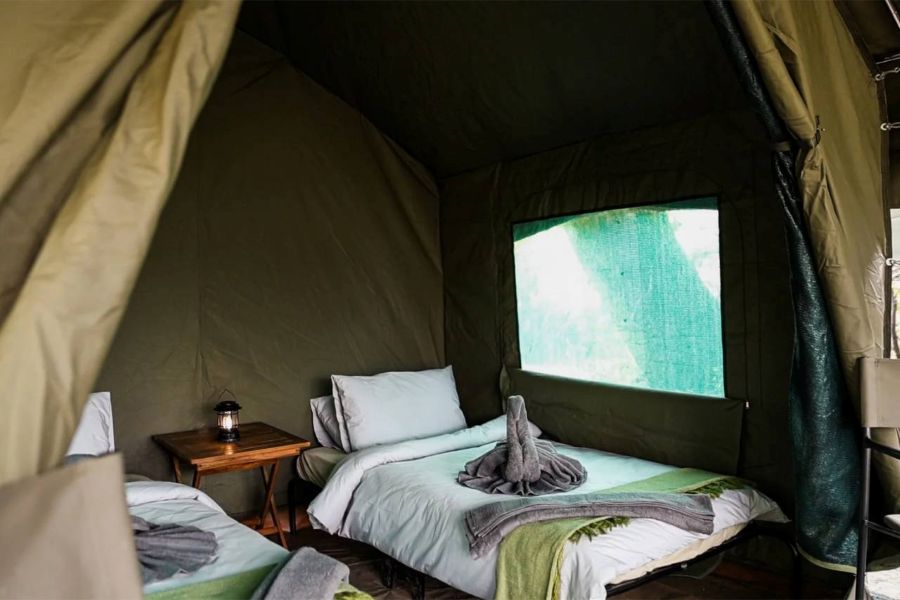 South Gate Campsite