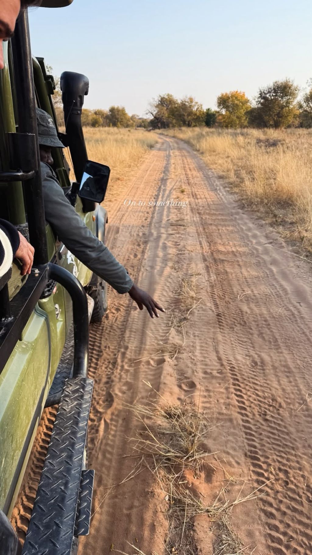 Moremi Game Reserve