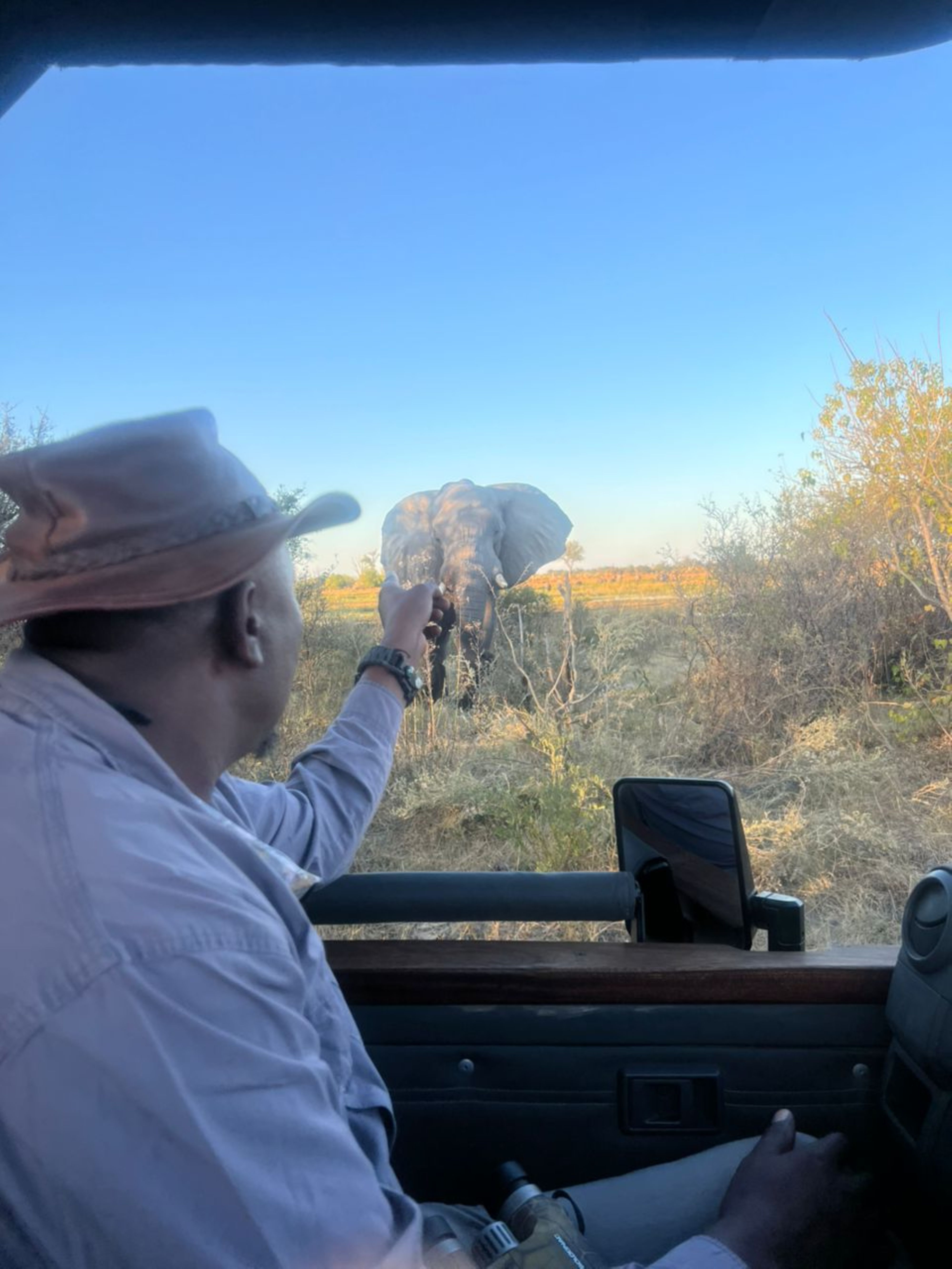 Moremi Game Reserve