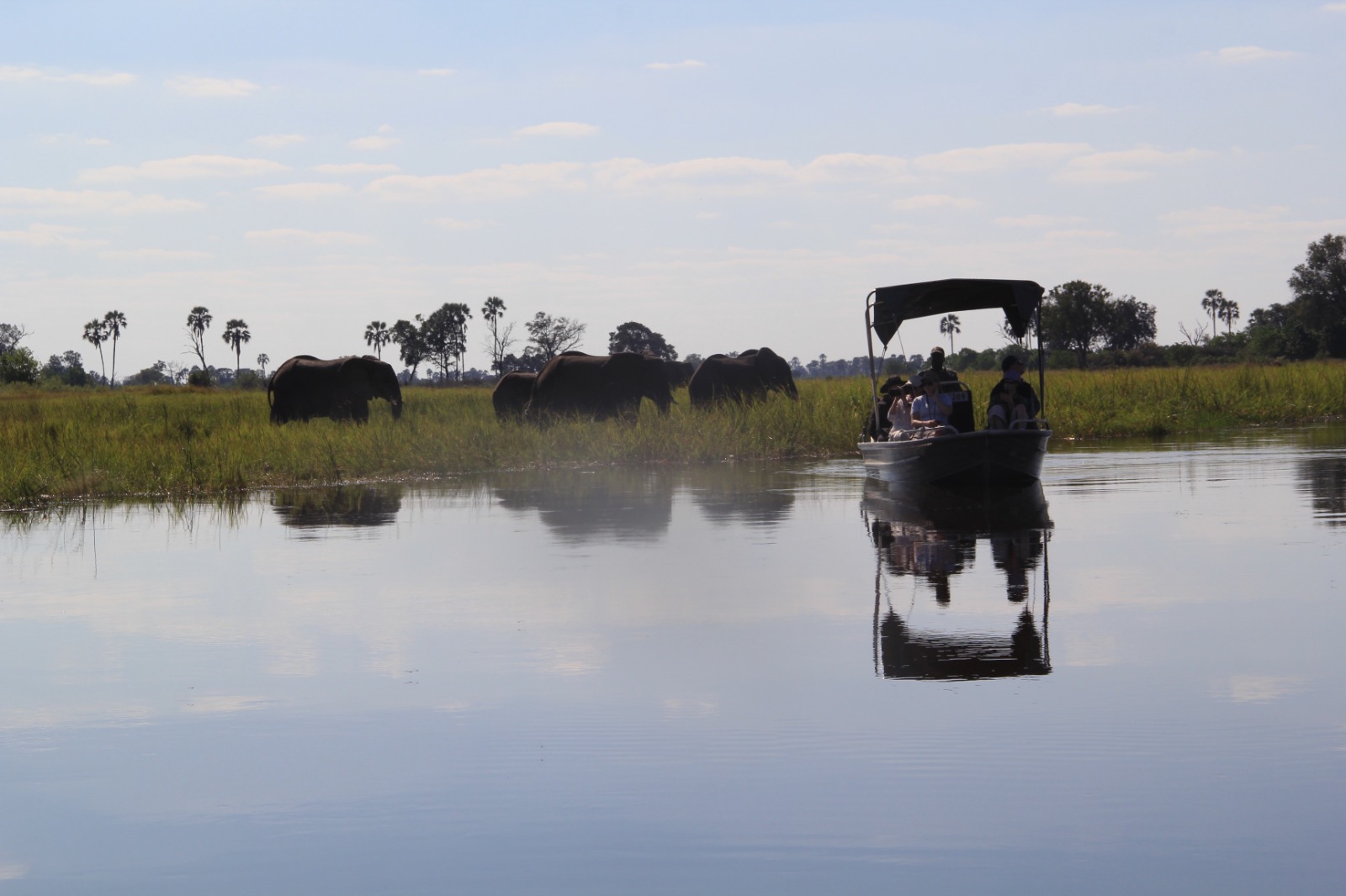 Okavango Delta