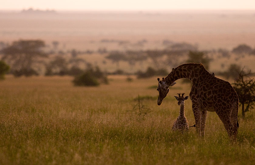 Serengeti National Park